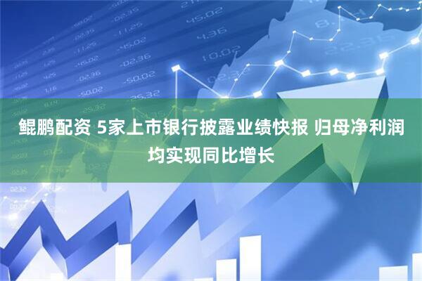 鲲鹏配资 5家上市银行披露业绩快报 归母净利润均实现同比增长