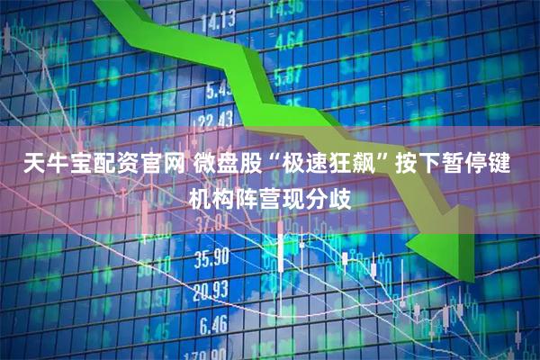 天牛宝配资官网 微盘股“极速狂飙”按下暂停键 机构阵营现分歧