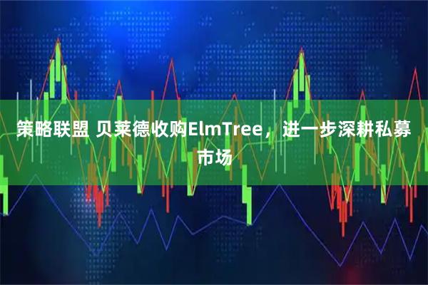 策略联盟 贝莱德收购ElmTree，进一步深耕私募市场