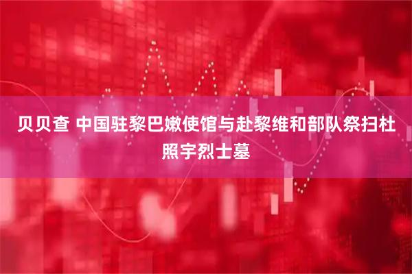 贝贝查 中国驻黎巴嫩使馆与赴黎维和部队祭扫杜照宇烈士墓