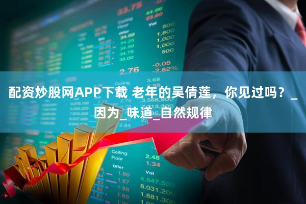 配资炒股网APP下载 老年的吴倩莲，你见过吗？_因为_味道_自然规律