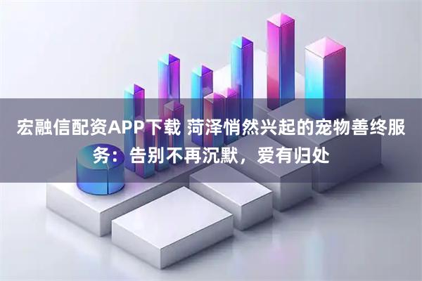 宏融信配资APP下载 菏泽悄然兴起的宠物善终服务：告别不再沉默，爱有归处