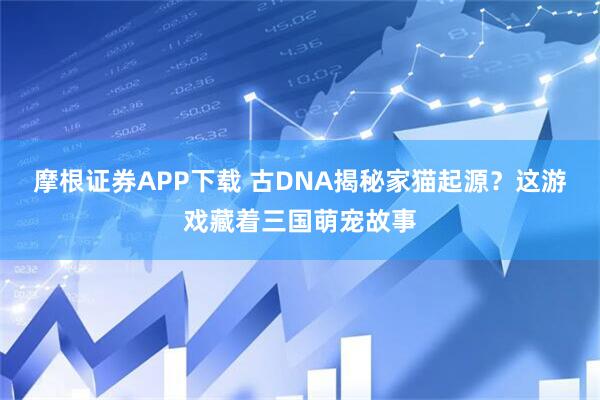 摩根证券APP下载 古DNA揭秘家猫起源？这游戏藏着三国萌宠故事